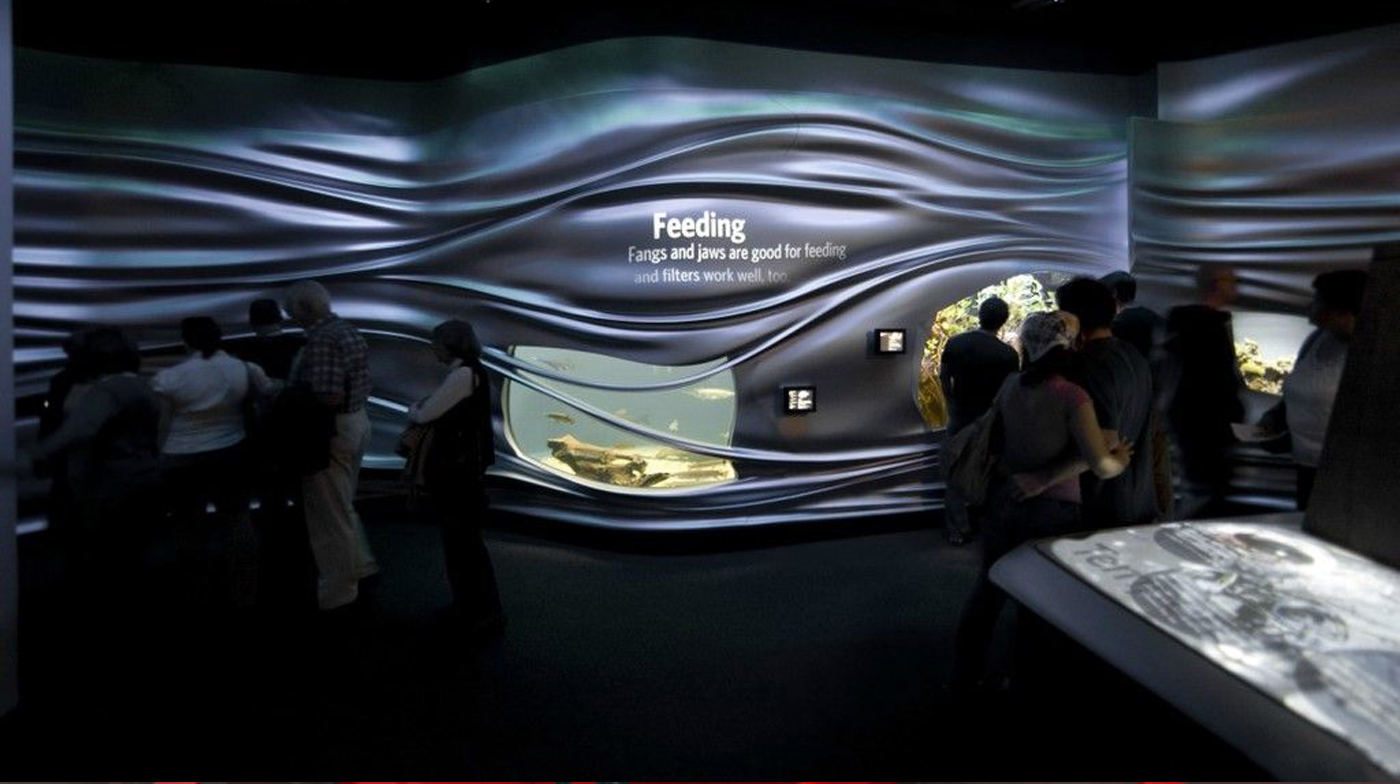 企業(yè)展廳設計