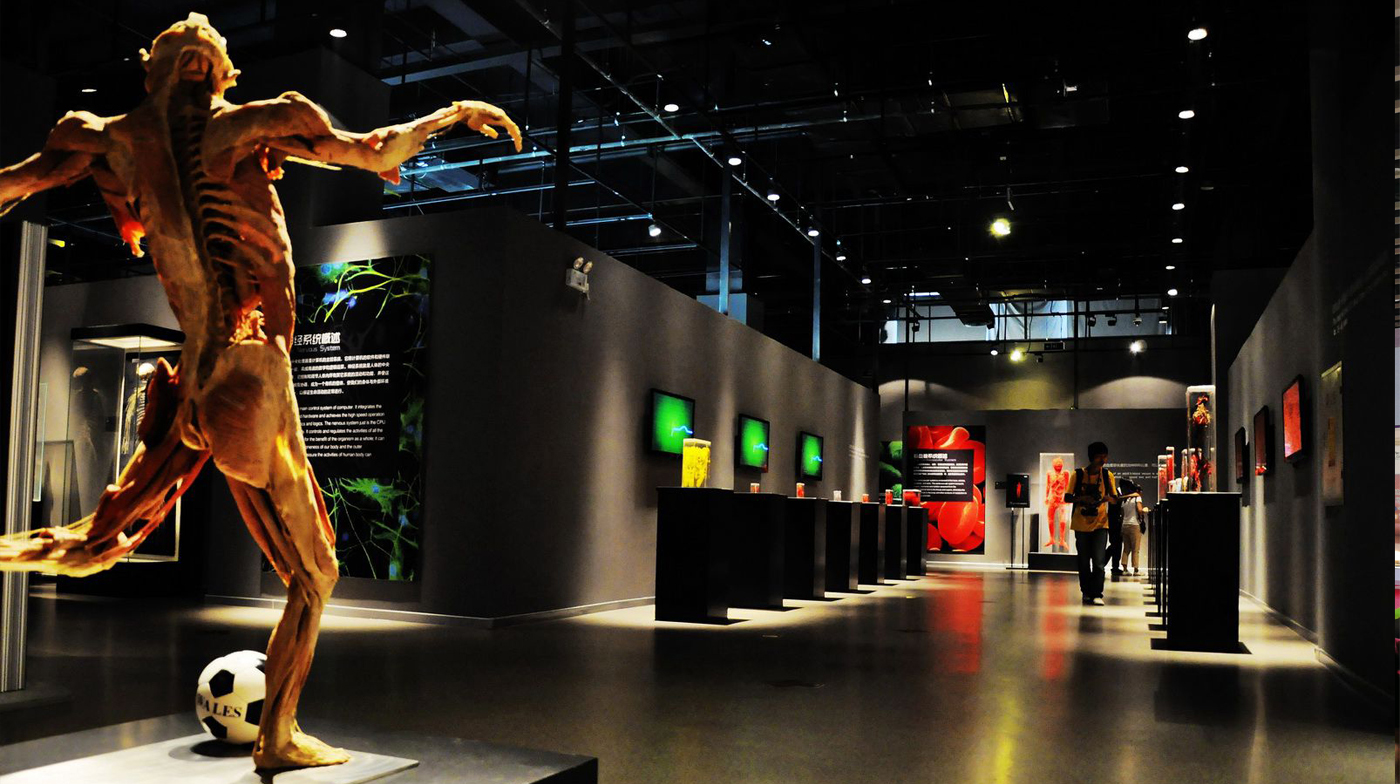 展廳設(shè)計制作公司